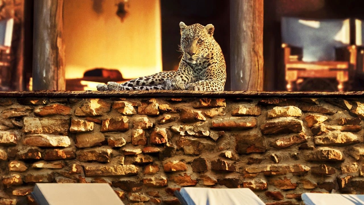 Das Jahr, das unsere Erde veränderte