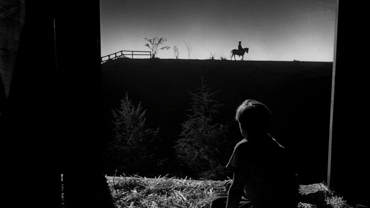 Die Nacht des Jägers