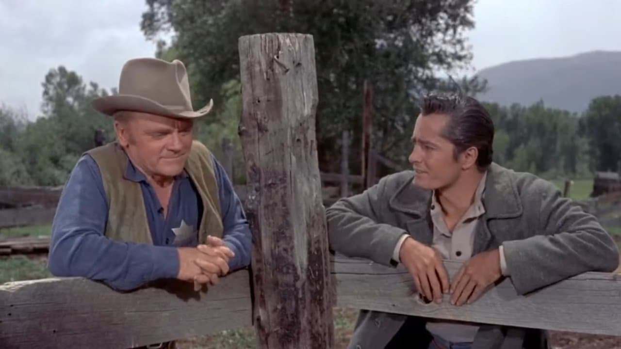 Im Schatten des Galgens